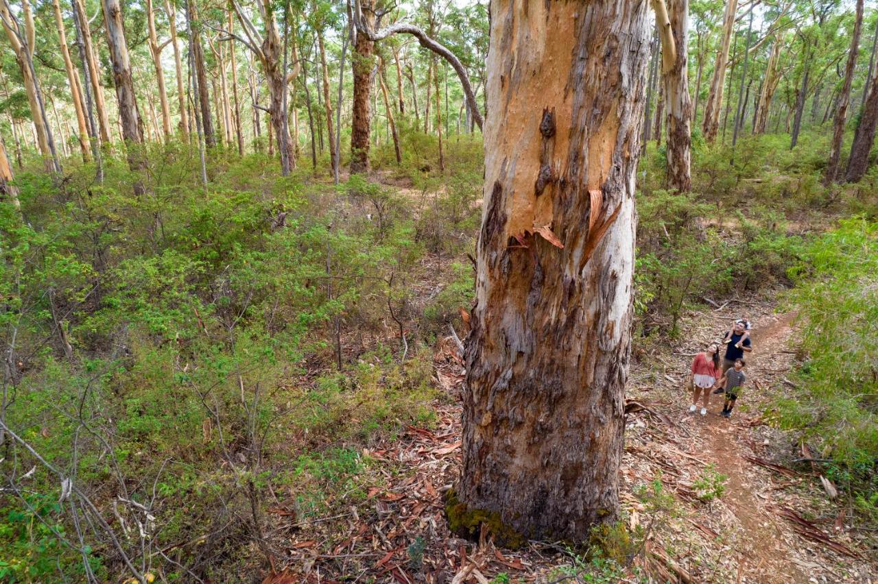 Rac Margaret River Nature Park Dış mekan fotoğraf